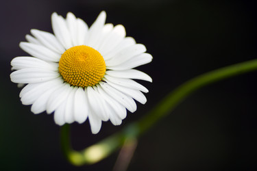 Similar image 2684105