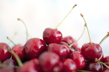 Similar image 2684109