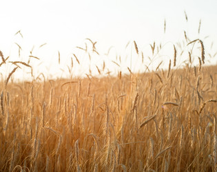 Similar image 2684259