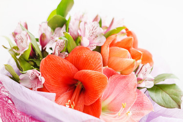 Similar image 2684261