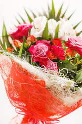 Similar image 2684262