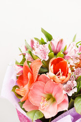 Similar image 2684264