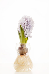 Similar image 2684275