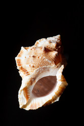 Similar image 2684362