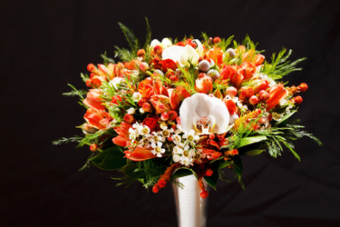 Similar image 2684442