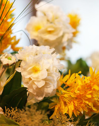 Similar image 2684485