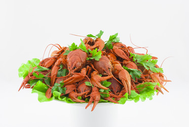 Similar image 2684631