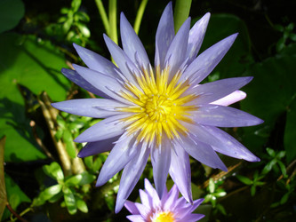 Similar image 2692907