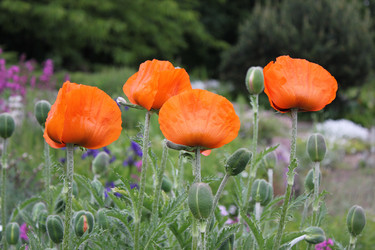 Similar image 2693157