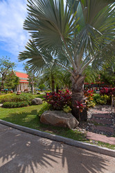 Similar image 2693215