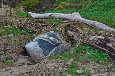 Similar image 2693291