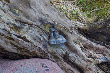 Similar image 2693292