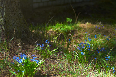 Similar image 2693297