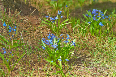 Similar image 2693298