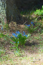 Similar image 2693300