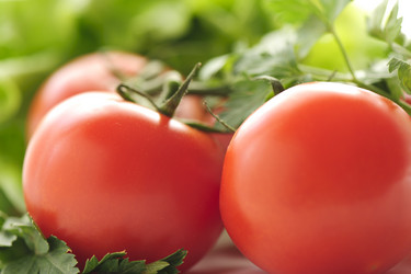 Similar image 2693627