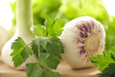 Similar image 2693632