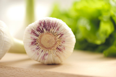 Similar image 2693636