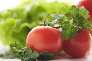 Similar image 2693639