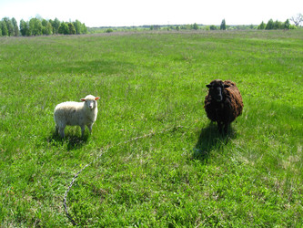 Similar image 2693851