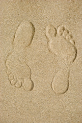 Similar image 2693959