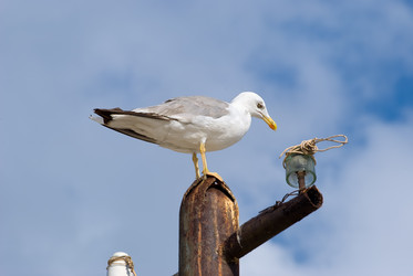 Similar image 2693961