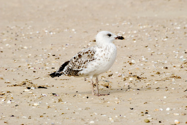 Similar image 2693964