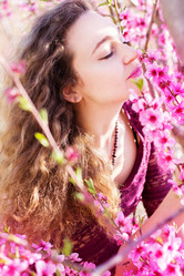 Similar image 2694353