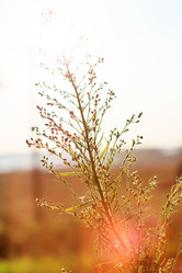 Similar image 2694882