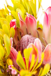 Similar image 2694887