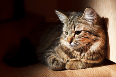 Similar image 2694897