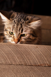 Similar image 2694899