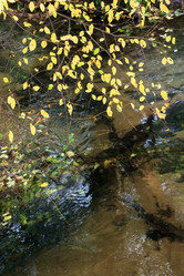 Similar image 2694925