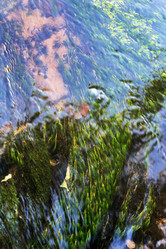 Similar image 2694930