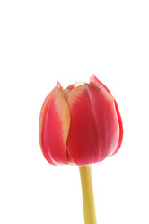 Similar image 2694938