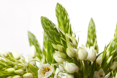 Similar image 2694943