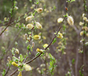 Similar image 2694980