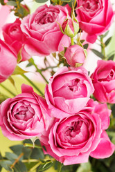 Similar image 2695032