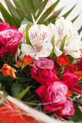 Similar image 2695054