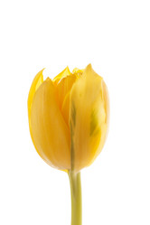 Similar image 2695094