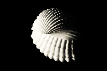 Similar image 2695105