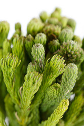 Similar image 2695141