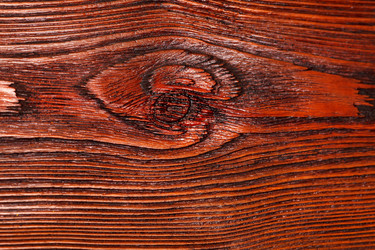 Similar image 2695156