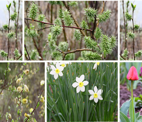 Similar image 2695211