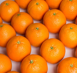 Similar image 2695257