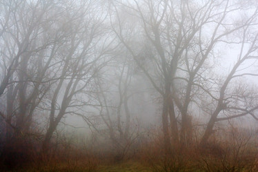 Similar image 2695283