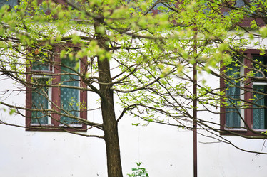 Similar image 2695331