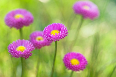 Similar image 2695333