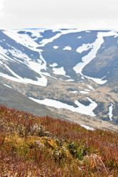 Similar image 2695349