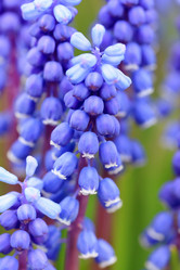 Similar image 2695370